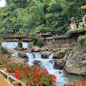 ban-cat-cat-sapa_435061140